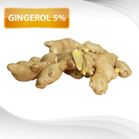 สารสกัดขิง Ginger Extract Powder Gingerol 5 Water Soluble