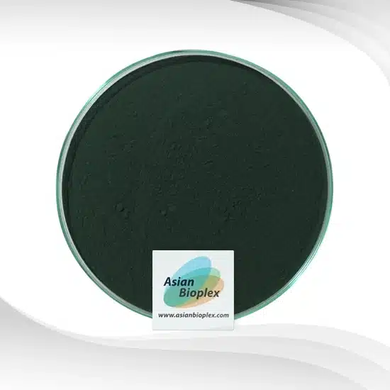 Spirulina-Powder-_Spray-Dried_-EXP-SPL-2A_Top-View